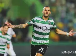 九游游戏平台-未来状元东契奇欧洲杯全能表现